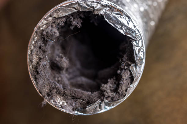 Best Dryer Vent Cleaning Services  in Avenue B And C, AZ