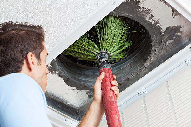 Best Air Vent Cleaning Services  in Avenue B And C, AZ