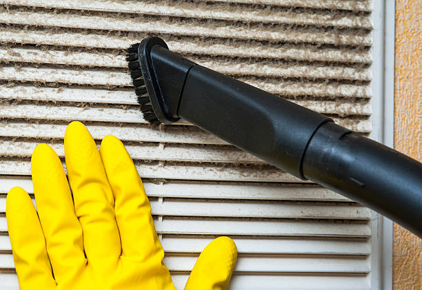 Best Affordable Duct Cleaning Services  in Avenue B And C, AZ